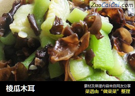 棱瓜木耳