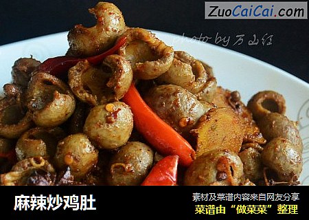 麻辣炒鸡肚