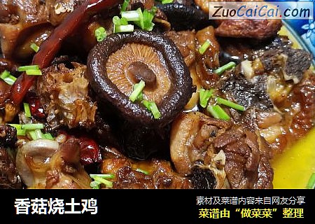 香菇烧土鸡