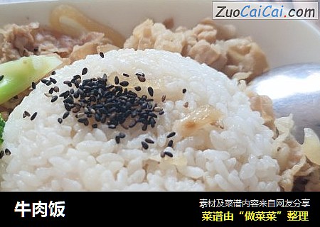 牛肉饭