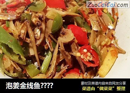 泡姜金线鱼????