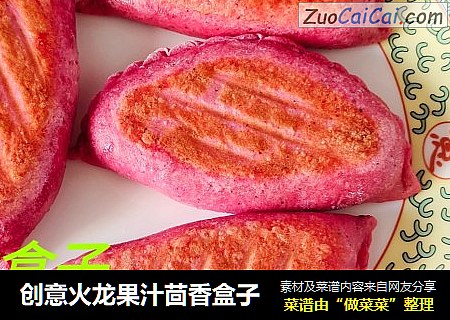 创意火龙果汁茴香盒子