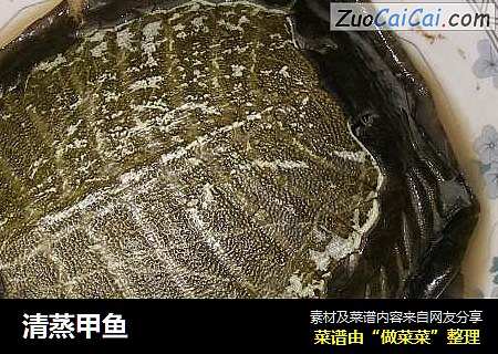 清蒸甲鱼