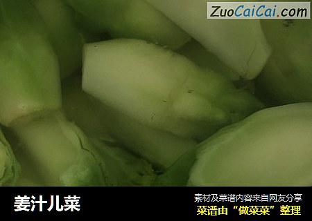 姜汁儿菜