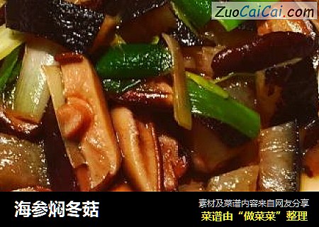 海参焖冬菇
