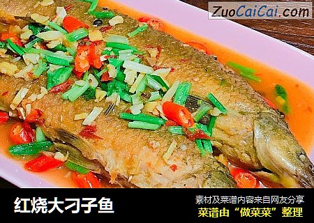 红烧大刁子鱼