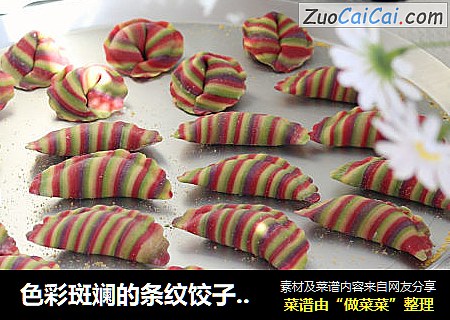 色彩斑斓的条纹饺子︱好看又好吃哟！