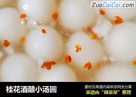 桂花酒酿小汤圆