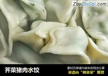 荠菜猪肉水饺