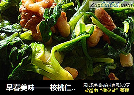 早春美味——核桃仁拌菠菜