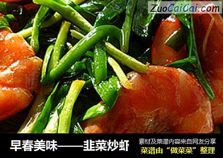 早春美味——韭菜炒虾