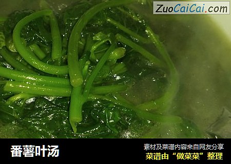 番薯叶汤