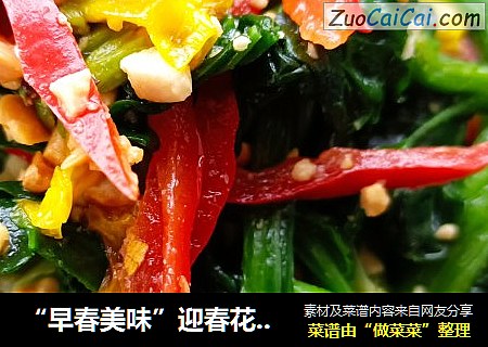 “早春美味”迎春花拌菠菜