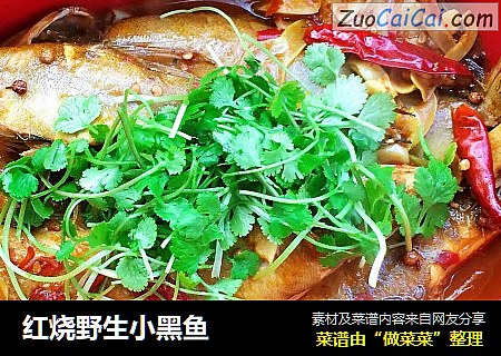 红烧野生小黑鱼