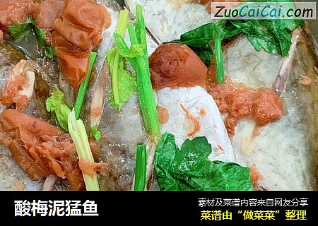 酸梅泥猛鱼