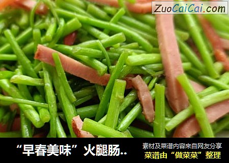 “早春美味”火腿肠炒藜蒿