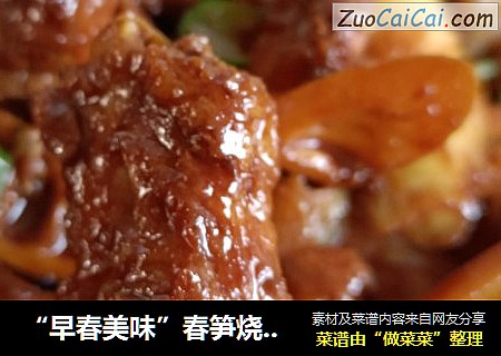 “早春美味”春笋烧排骨