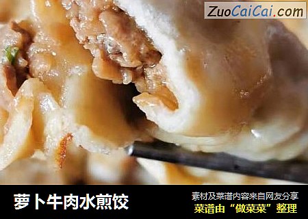 萝卜牛肉水煎饺