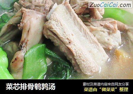 菜芯排骨鹌鹑汤