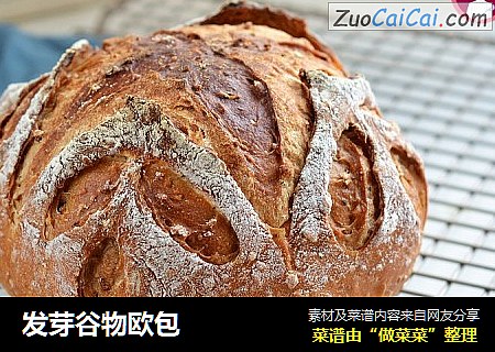 发芽谷物欧包