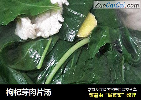 枸杞芽肉片汤