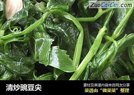 清炒豌豆尖
