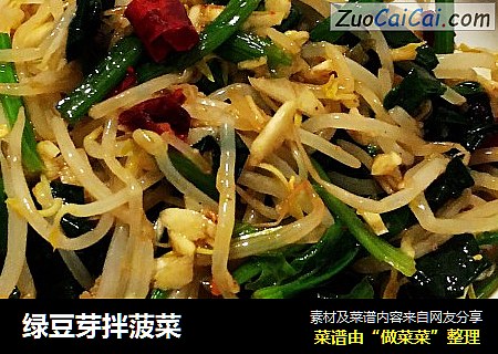 绿豆芽拌菠菜