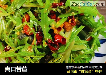 爽口苦苣