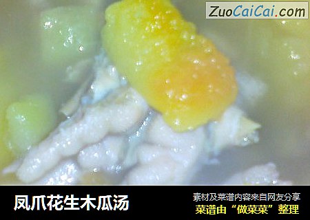 凤爪花生木瓜汤