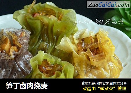 笋丁卤肉烧麦