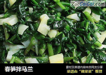 春笋拌马兰