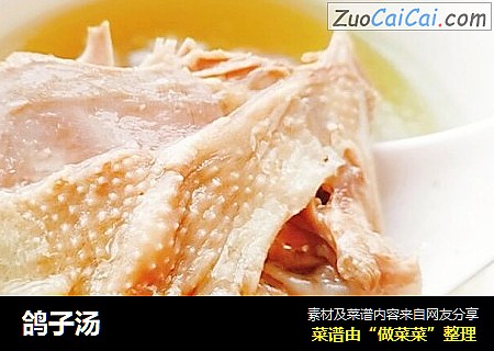鸽子汤