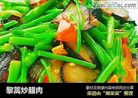 黎蒿炒腊肉