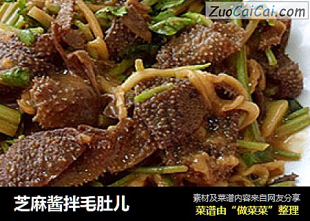 芝麻酱拌毛肚儿