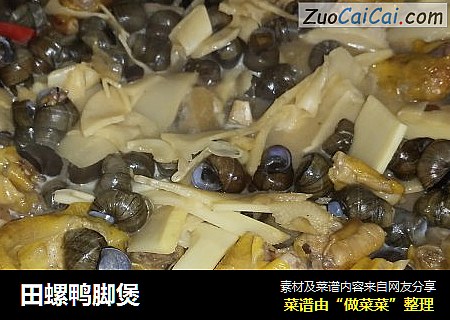 田螺鸭脚煲