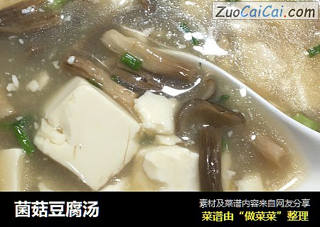菌菇豆腐汤