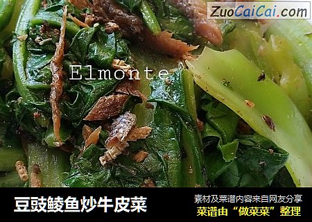 豆豉鲮鱼炒牛皮菜