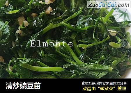 清炒豌豆苗