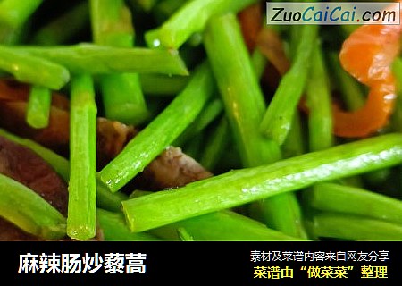 麻辣肠炒藜蒿