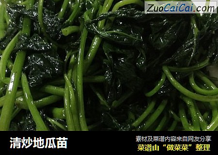 清炒地瓜苗