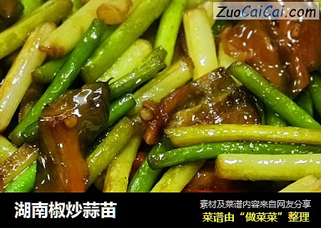 湖南椒炒蒜苗