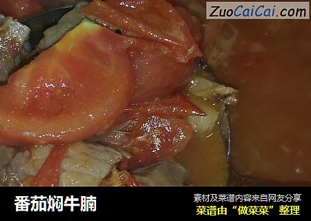 番茄焖牛腩