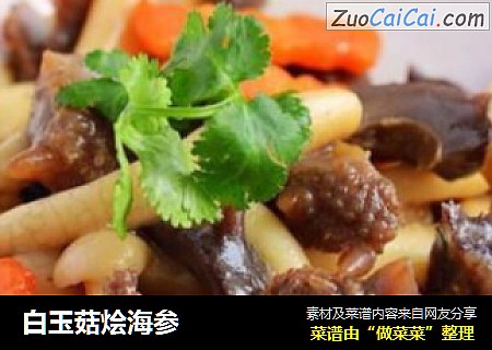 白玉菇烩海参