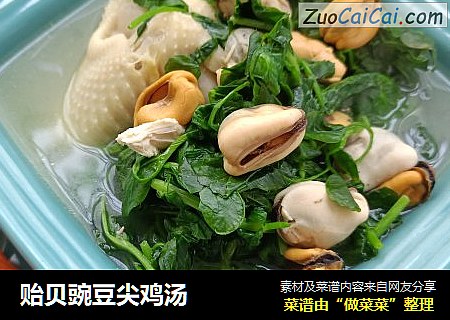 贻贝豌豆尖鸡汤