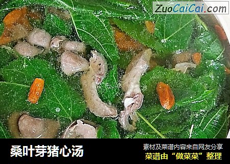 桑叶芽猪心汤 