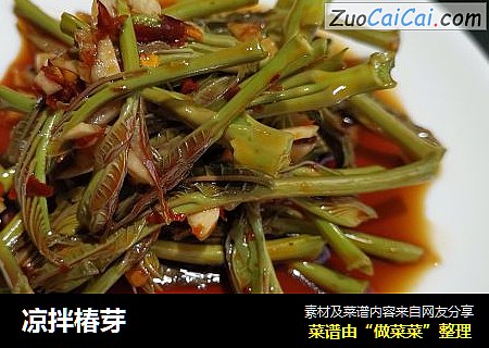 凉拌椿芽