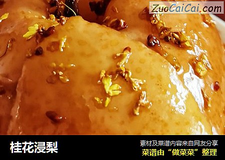 桂花浸梨
