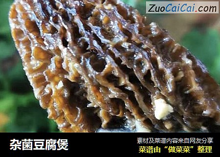 杂菌豆腐煲