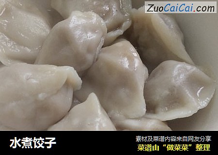 水煮饺子