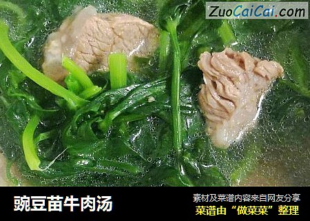 豌豆苗牛肉汤